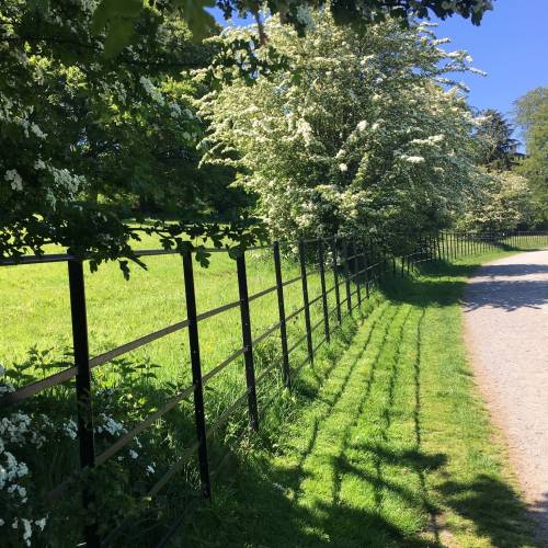 Derrymore