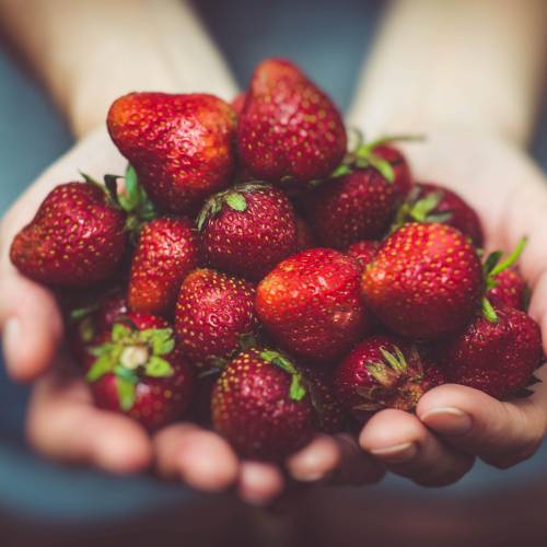 Healthy summer strawberries