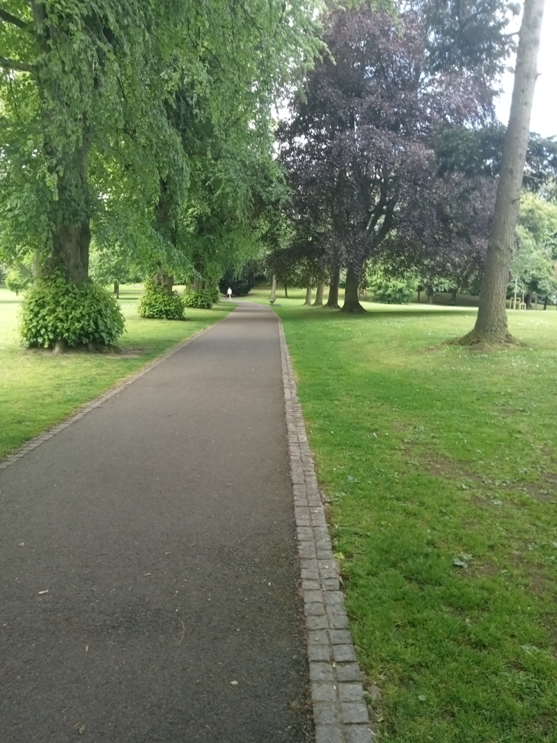 Wallace Park walk