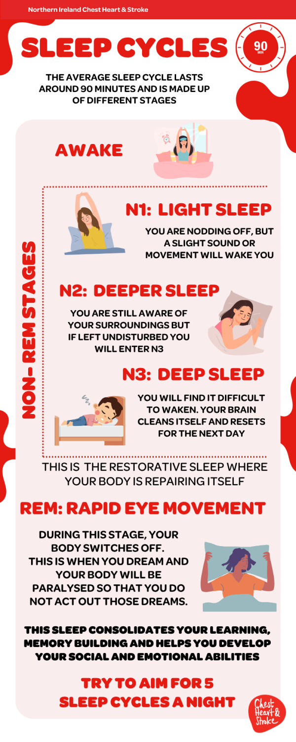 Sleep cycles infographic