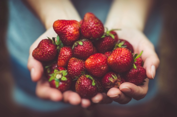 Healthy summer strawberries