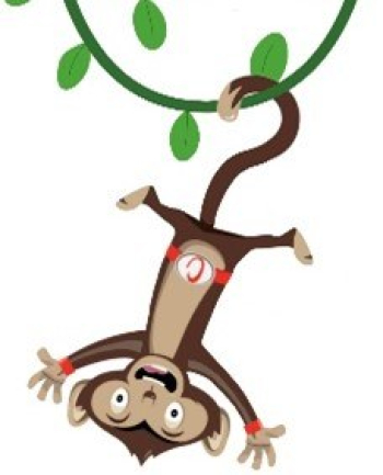 Monkey madness