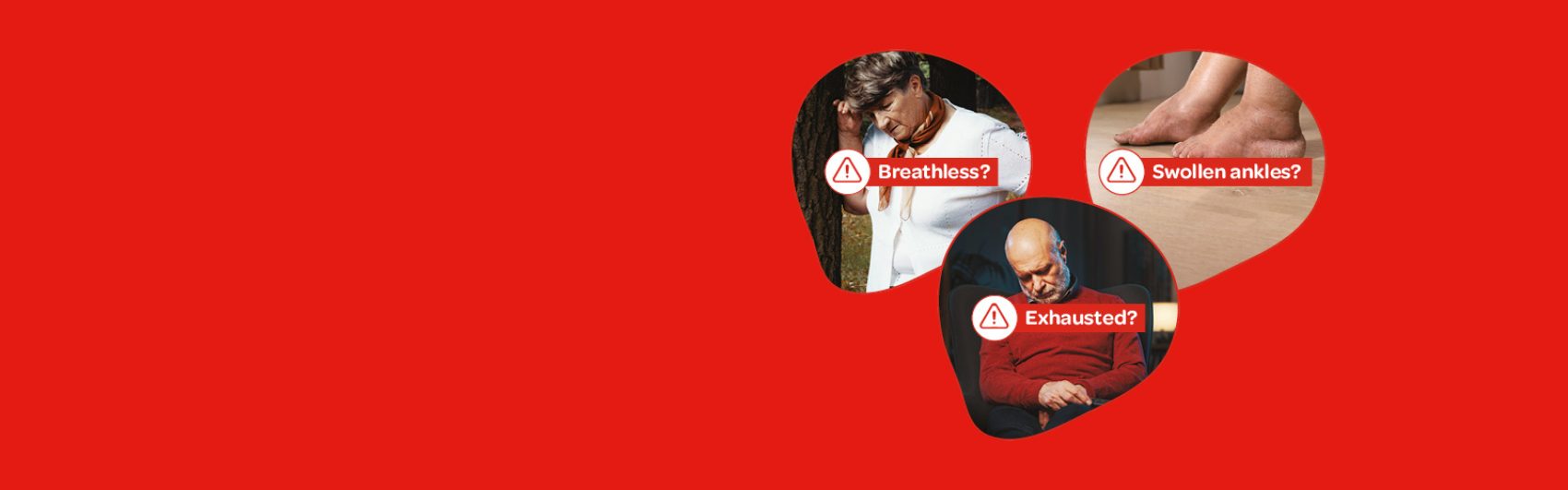 Heart Failure Web Banner red