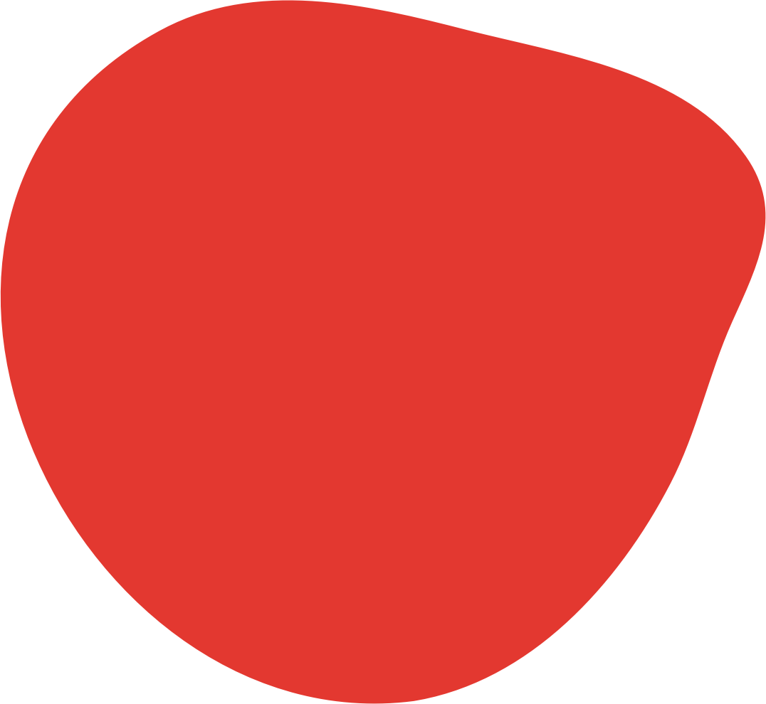 NICHS logo blob shape