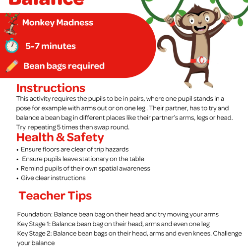 26 Bean Bag Balance