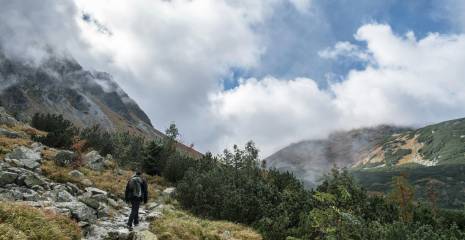 Pexels karolina 2031292 9629649