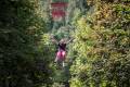 Todds Leap 1